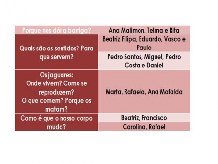 Investigações no 2ºano 